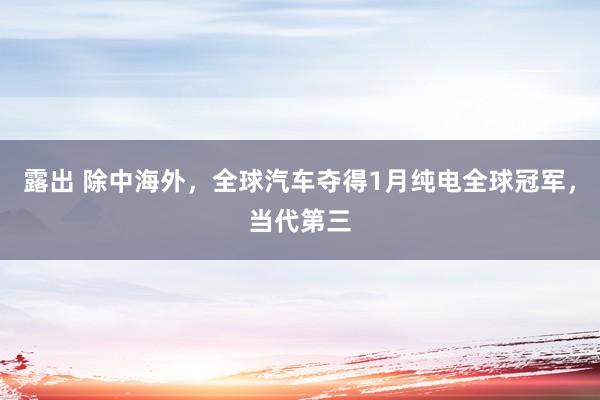 露出 除中海外，全球汽车夺得1月纯电全球冠军，当代第三