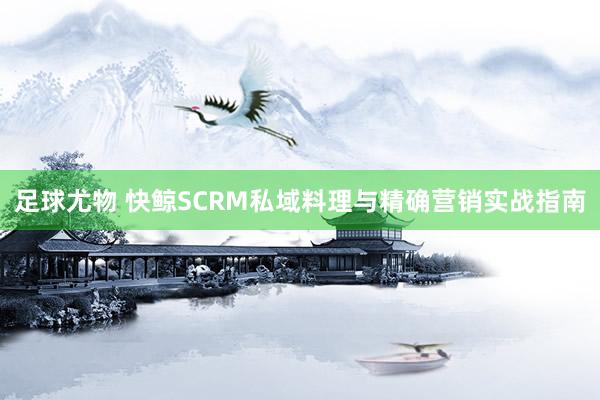 足球尤物 快鲸SCRM私域料理与精确营销实战指南