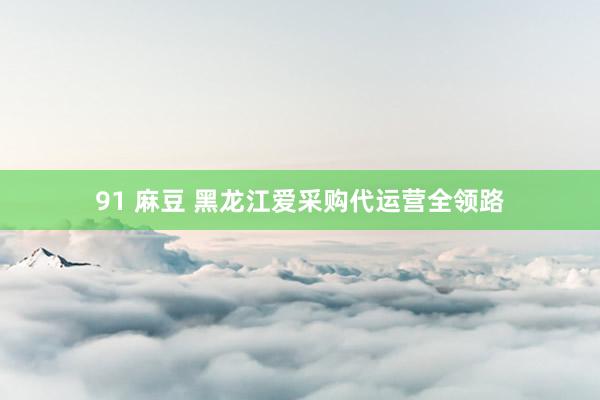 91 麻豆 黑龙江爱采购代运营全领路