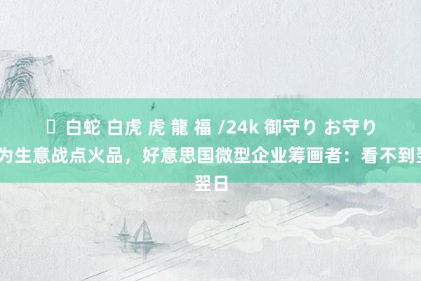 ✨白蛇 白虎 虎 龍 福 /24k 御守り お守り 沦为生意战点火品，好意思国微型企业筹画者：看不到翌日