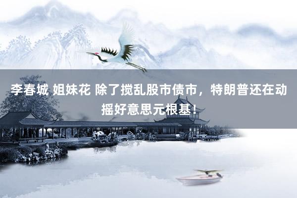 李春城 姐妹花 除了搅乱股市债市，特朗普还在动摇好意思元根基！