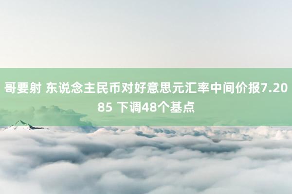 哥要射 东说念主民币对好意思元汇率中间价报7.2085 下调48个基点