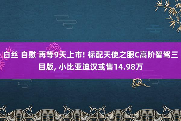 白丝 自慰 再等9天上市! 标配天使之眼C高阶智驾三目版， 小比亚迪汉或售14.98万