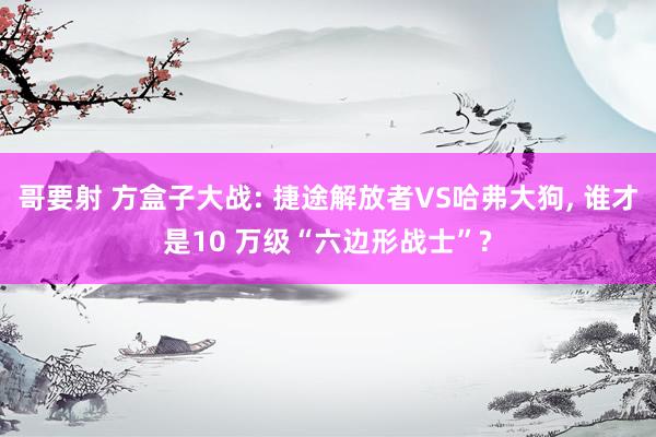 哥要射 方盒子大战: 捷途解放者VS哈弗大狗， 谁才是10 万级“六边形战士”?