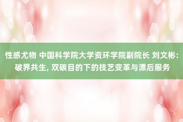 性感尤物 中国科学院大学资环学院副院长 刘文彬: 破界共生， 双碳目的下的技艺变革与漂后服务