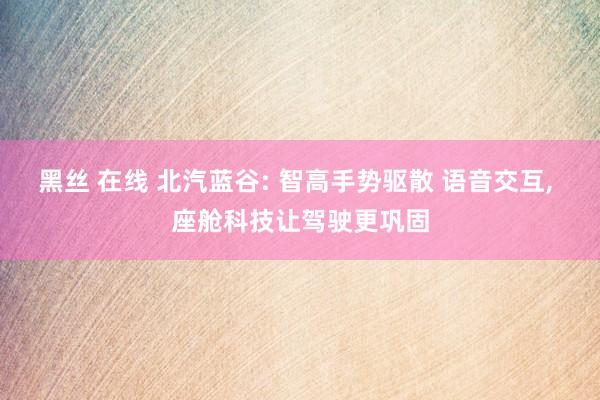 黑丝 在线 北汽蓝谷: 智高手势驱散 语音交互， 座舱科技让驾驶更巩固