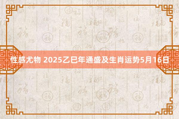 性感尤物 2025乙巳年通盛及生肖运势5月16日