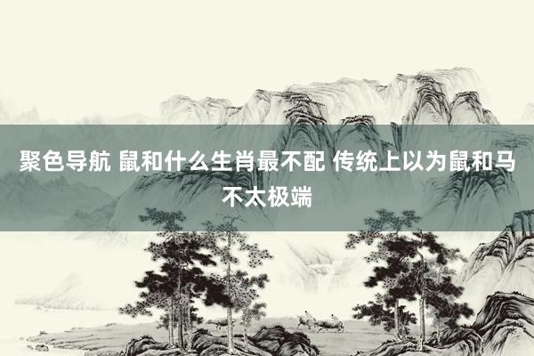 聚色导航 鼠和什么生肖最不配 传统上以为鼠和马不太极端
