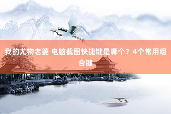 我的尤物老婆 电脑截图快捷键是哪个？4个常用组合键