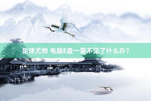 足球尤物 电脑E盘一霎不见了什么办？