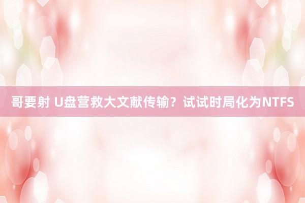 哥要射 U盘营救大文献传输？试试时局化为NTFS