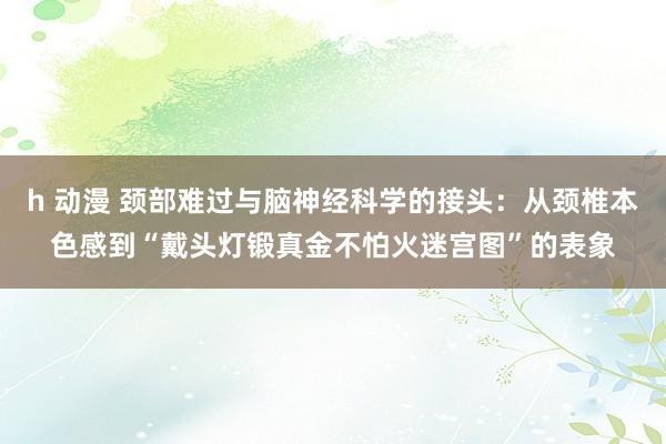 h 动漫 颈部难过与脑神经科学的接头：从颈椎本色感到“戴头灯锻真金不怕火迷宫图”的表象