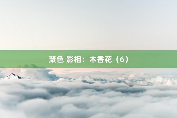 聚色 影相：木香花（6）