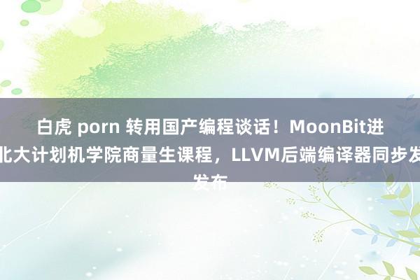 白虎 porn 转用国产编程谈话！MoonBit进入北大计划机学院商量生课程，LLVM后端编译器同步发布